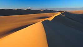 砂漠