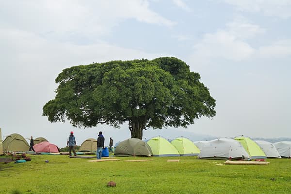 タンザニア・キャンプのイメージ1