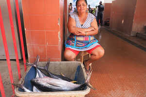 魚市場のタイセイヨウマグロ
