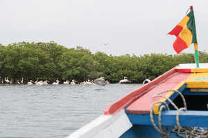 ボートでサルーム・デルタのマングローブ林を散策